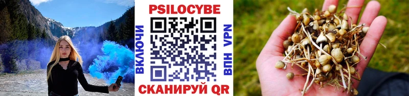 Купить где  Можайск  Галлюциногенные грибы ЛСД 